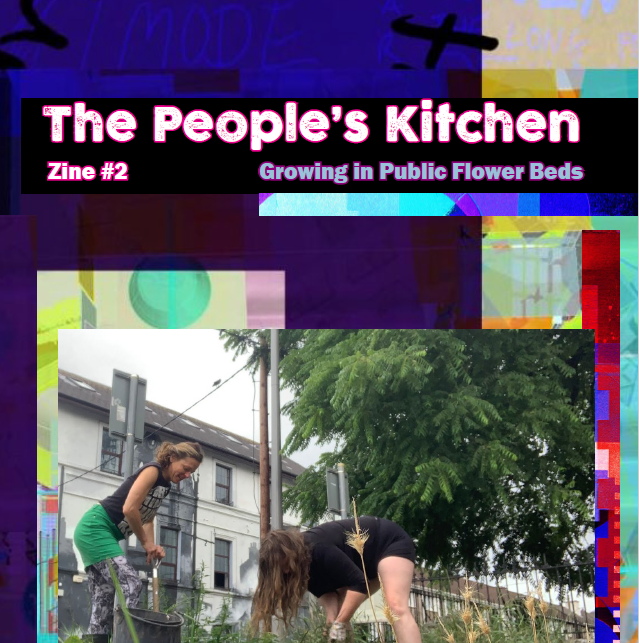 The People’s Kitchen 2: Growing in Public Flower Beds