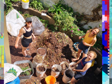 Three women standing in a garden, with buckets of mud and mulch near their feet