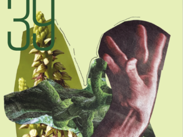 Create News 39 – De-Centring during the Great Dithering