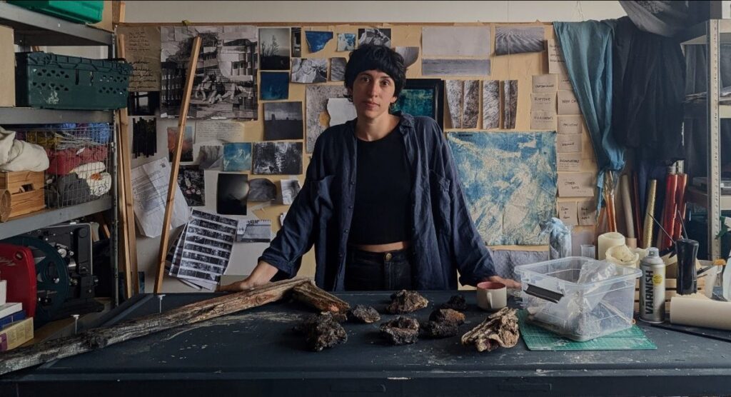 Dolphin House Mini Commission awarded to Sophia Tamburrini